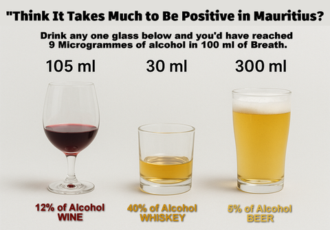 Reference standard drink servings: 105 ml of wine at 12%, 30 ml of whiskey at 40%, and 300 ml of beer at 5%, each treated as one standard drink.